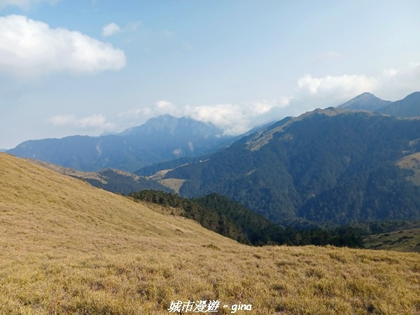 20230403_155158.jpg 20230403_155158.jpg