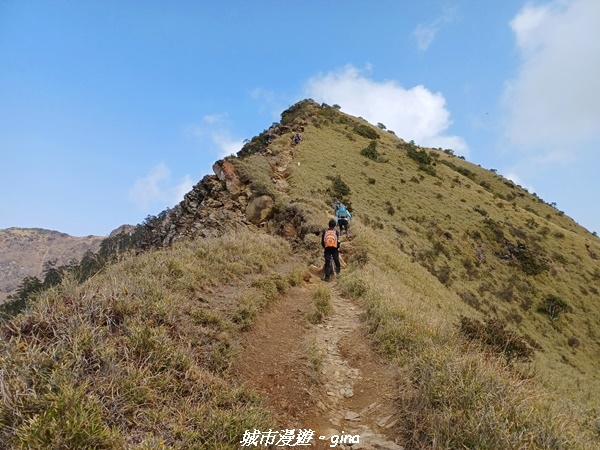 20230403_152532.jpg 20230403_152532.jpg