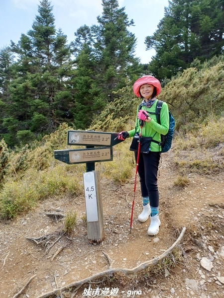 20230403_141758.jpg 20230403_141758.jpg