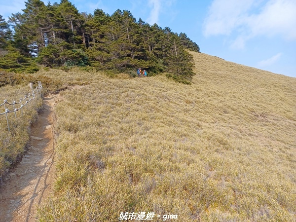 【南投仁愛】真的！回程才是考驗。 合歡西峰登山山徑(合歡北西