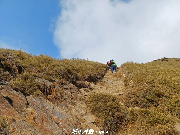 【南投仁愛】真的！回程才是考驗。 合歡西峰登山山徑(合歡北西