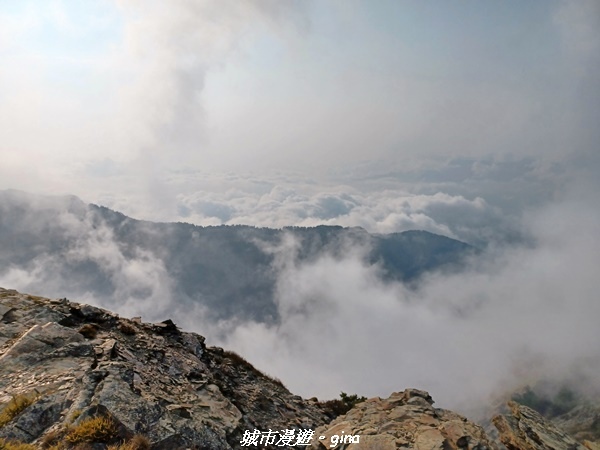 【南投仁愛】真的！回程才是考驗。 合歡西峰登山山徑(合歡北西