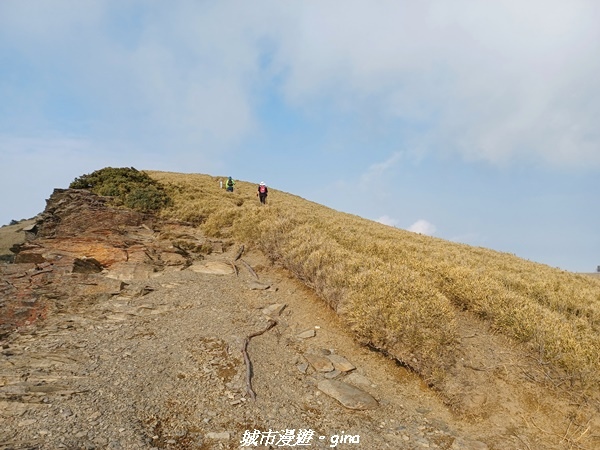 【南投仁愛】真的！回程才是考驗。 合歡西峰登山山徑(合歡北西