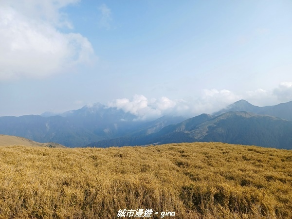 【南投仁愛】真的！回程才是考驗。 合歡西峰登山山徑(合歡北西