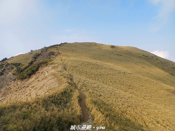 20230403_162724.jpg 20230403_162724.jpg