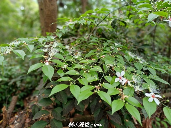 20230430_110630.jpg