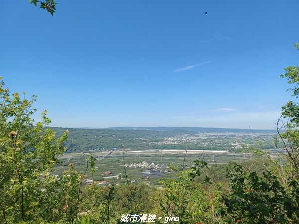 20230506_100338.jpg 20230506_100338.jpg