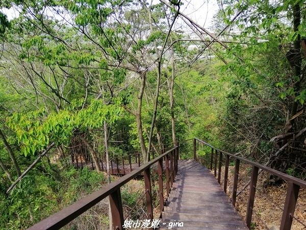 20230506_100340.jpg 20230506_100340.jpg