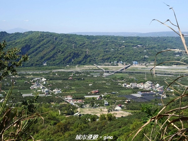 20230506_100350.jpg 20230506_100350.jpg