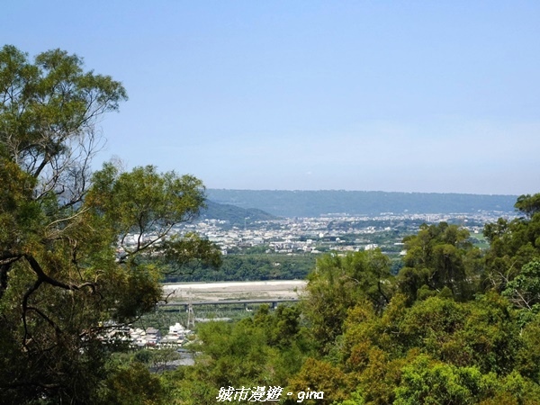 20230506_100351.jpg 20230506_100351.jpg