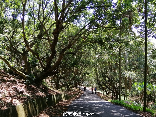 20230506_103145.jpg 20230506_103145.jpg