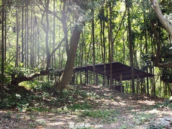 20230506_103146.jpg 20230506_103146.jpg