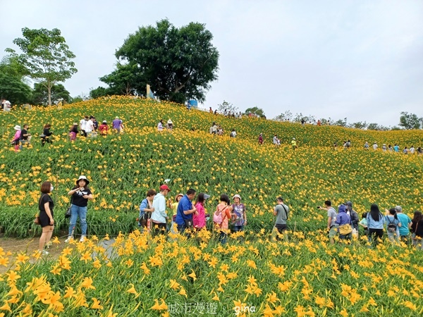 20230513_114701.jpg 20230513_114701.jpg