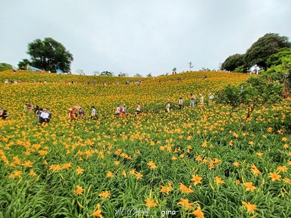 20230513_115033.jpg 20230513_115033.jpg