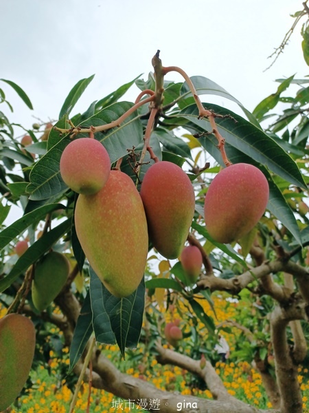 20230513_115116.jpg 20230513_115116.jpg