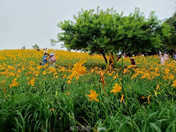 20230513_115150.jpg 20230513_115150.jpg