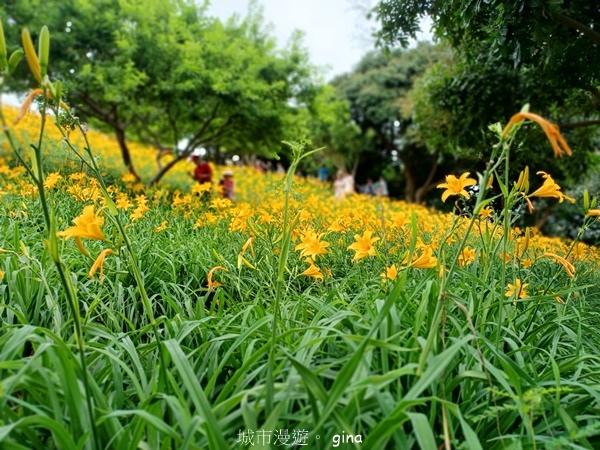 20230513_115143.jpg 20230513_115143.jpg