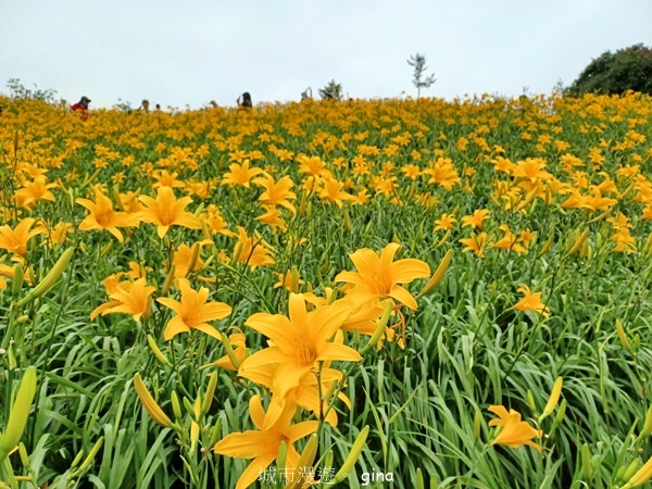 20230513_115421.jpg 20230513_115421.jpg