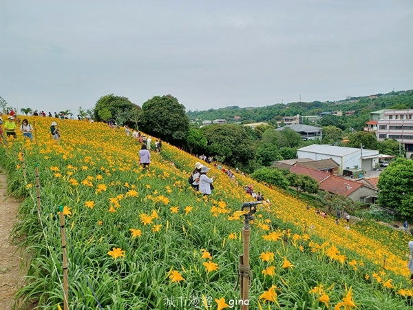 20230513_120041.jpg 20230513_120041.jpg