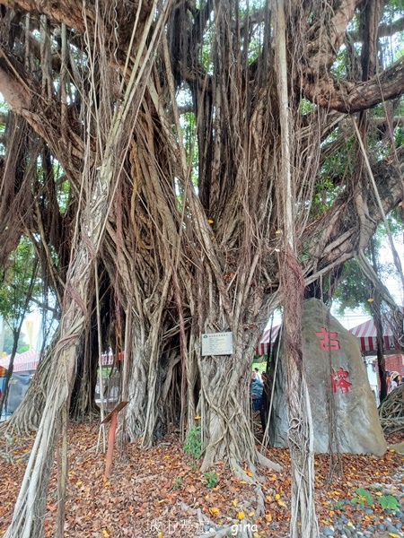 20230513_125222.jpg 20230513_125222.jpg