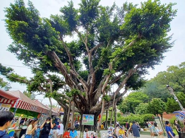 20230513_125223.jpg 20230513_125223.jpg