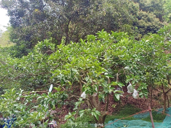 20230513_132103.jpg 20230513_132103.jpg