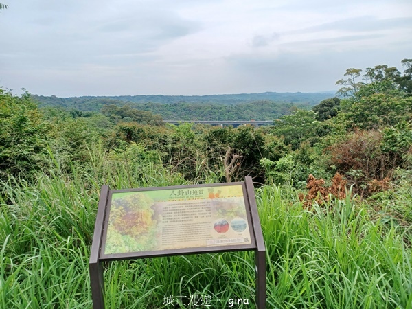 20230513_132437.jpg 20230513_132437.jpg