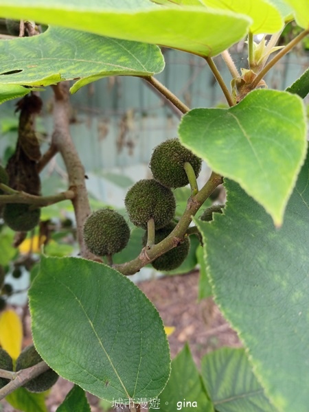 20230513_135116.jpg 20230513_135116.jpg