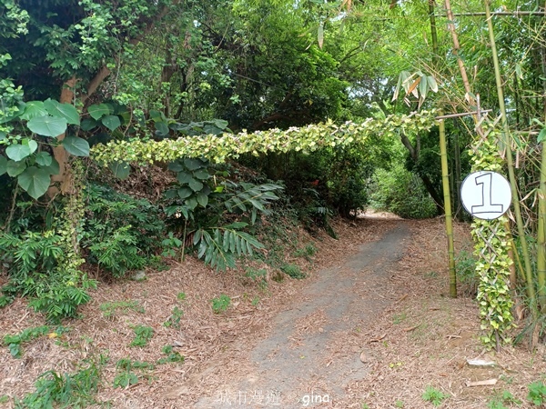 20230513_135416.jpg 20230513_135416.jpg