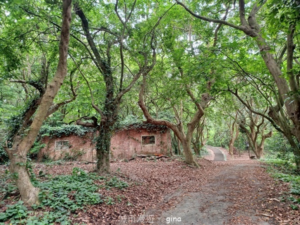 20230513_135538.jpg 20230513_135538.jpg