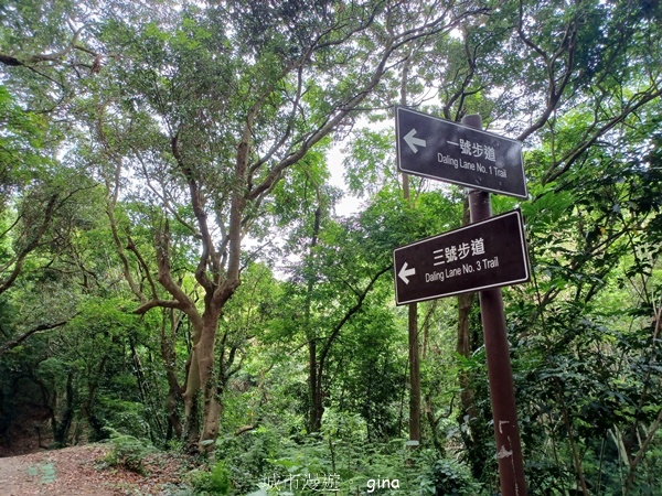 20230513_140526.jpg 20230513_140526.jpg