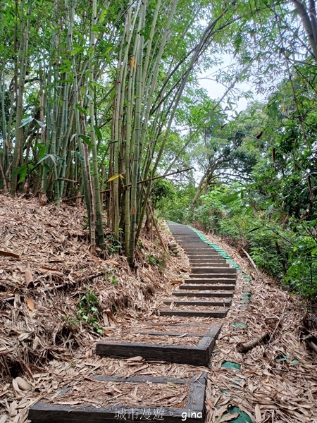 20230513_140747.jpg 20230513_140747.jpg