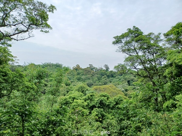 20230513_140855.jpg 20230513_140855.jpg