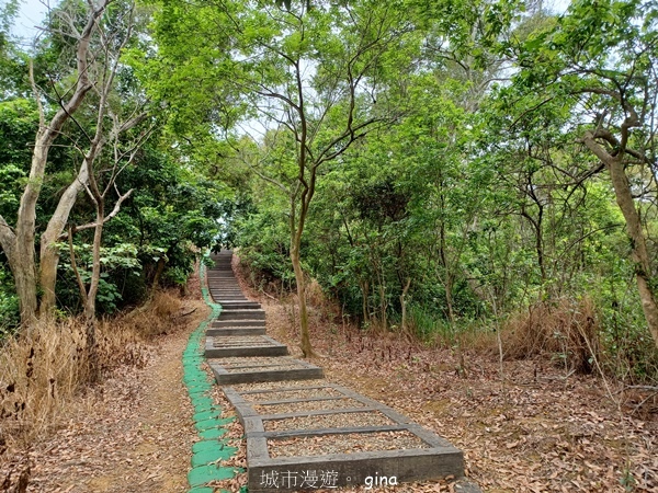 20230513_141012.jpg 20230513_141012.jpg