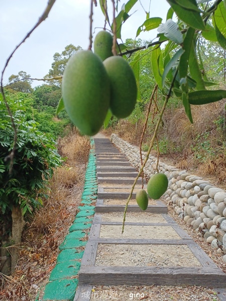 20230513_141132.jpg 20230513_141132.jpg