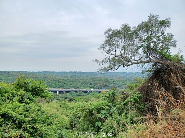 20230513_141219.jpg 20230513_141219.jpg