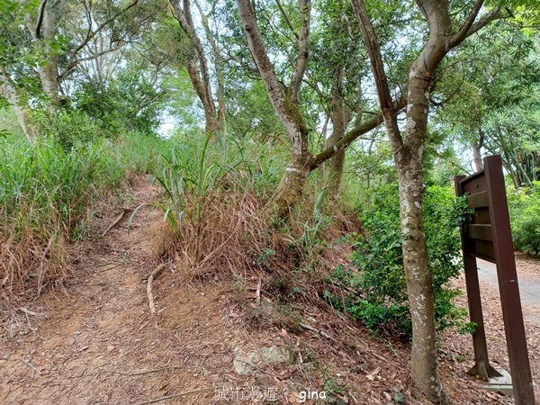 20230513_142302.jpg 20230513_142302.jpg