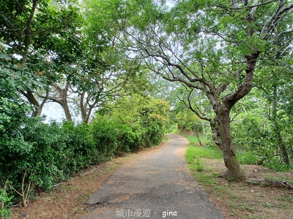 20230513_142510.jpg 20230513_142510.jpg