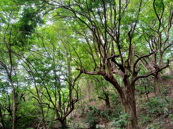 20230513_143043.jpg 20230513_143043.jpg