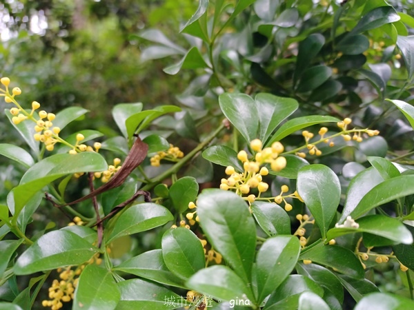 20230513_143530.jpg 20230513_143530.jpg