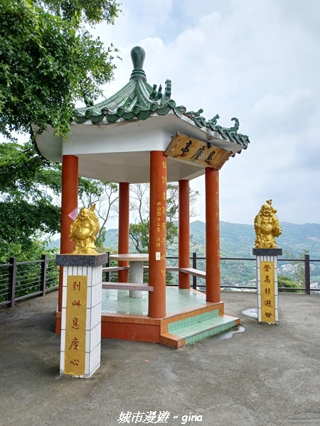 20230520_110302.jpg 20230520_110302.jpg