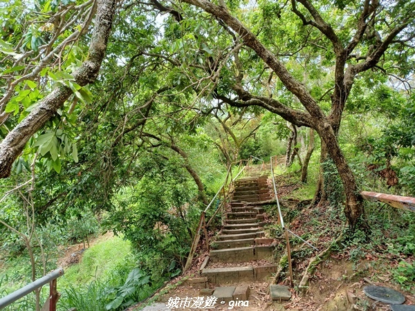 20230520_110710.jpg 20230520_110710.jpg