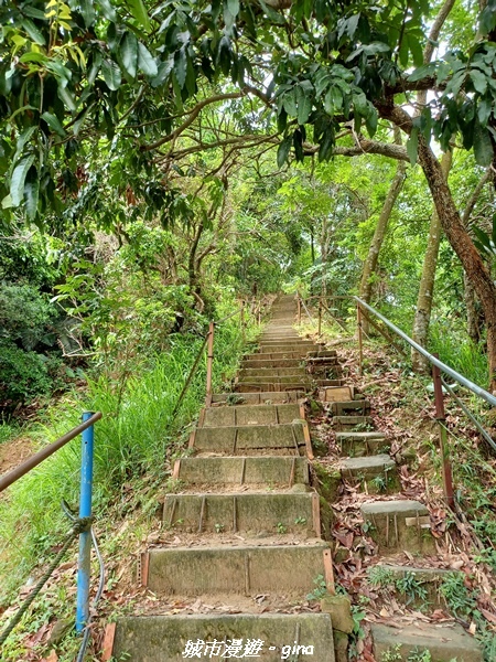 20230520_110830.jpg 20230520_110830.jpg