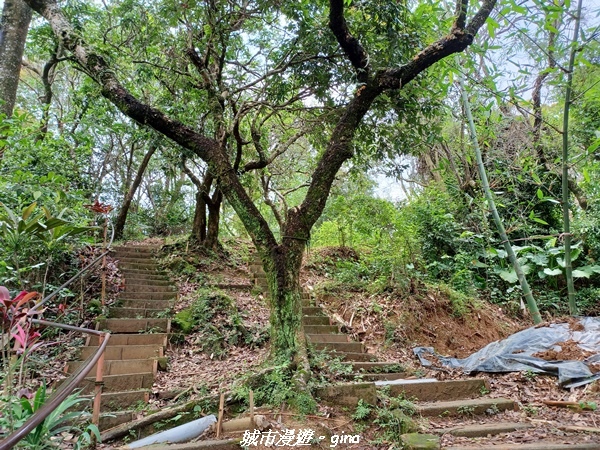 20230520_111224.jpg 20230520_111224.jpg