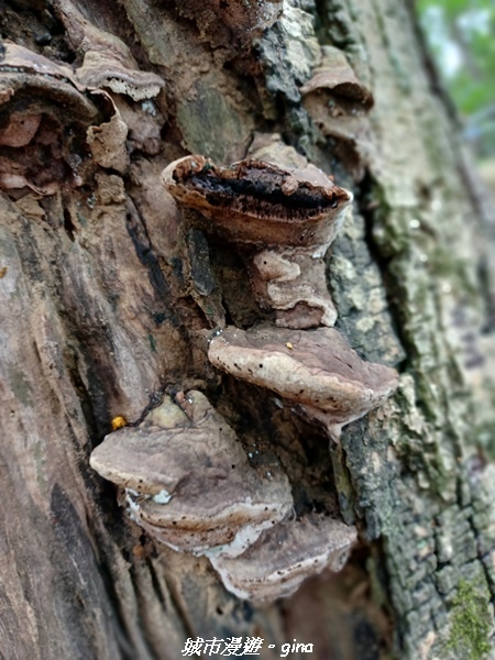 20230520_111852.jpg 20230520_111852.jpg