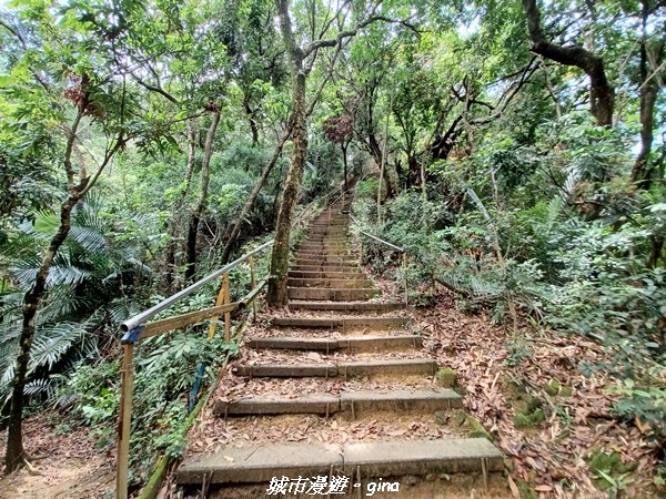 20230520_112244.jpg 20230520_112244.jpg