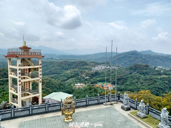 20230520_112807.jpg 20230520_112807.jpg