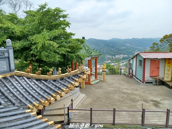 20230520_112822.jpg 20230520_112822.jpg