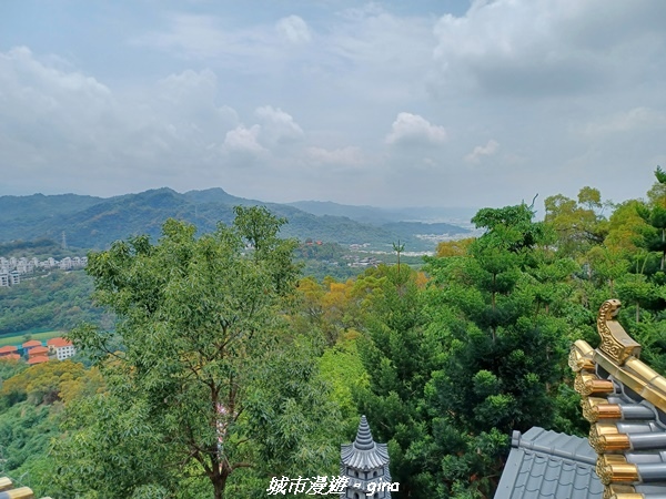 20230520_112857.jpg 20230520_112857.jpg