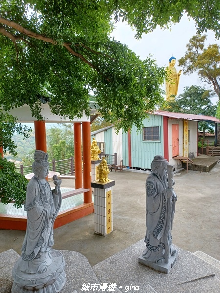 20230520_113802.jpg 20230520_113802.jpg